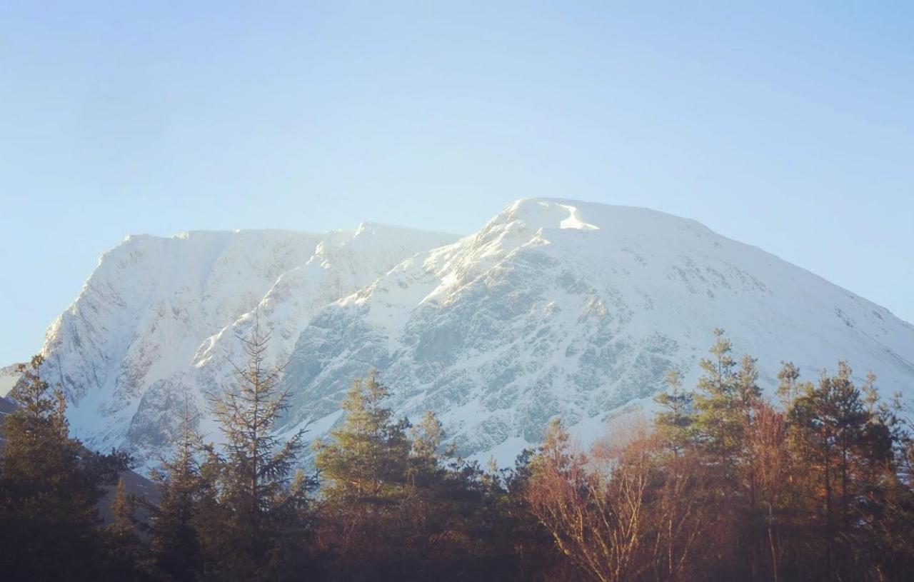 Wild Nurture Eco Luxury Offgrid Log Cabin Fort William Exteriér fotografie