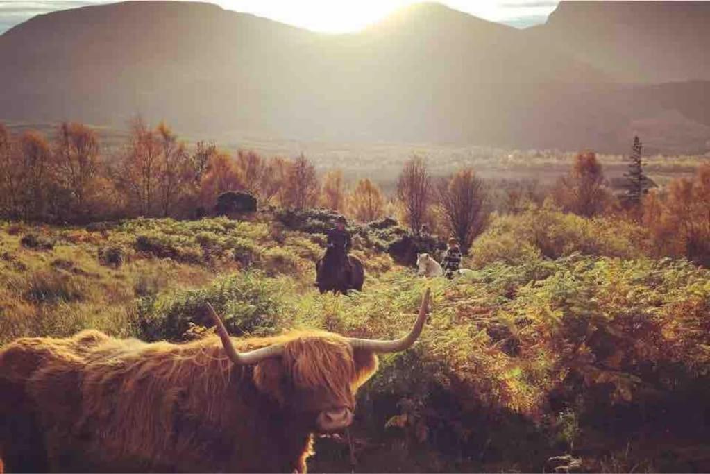 Wild Nurture Eco Luxury Offgrid Log Cabin Fort William Exteriér fotografie