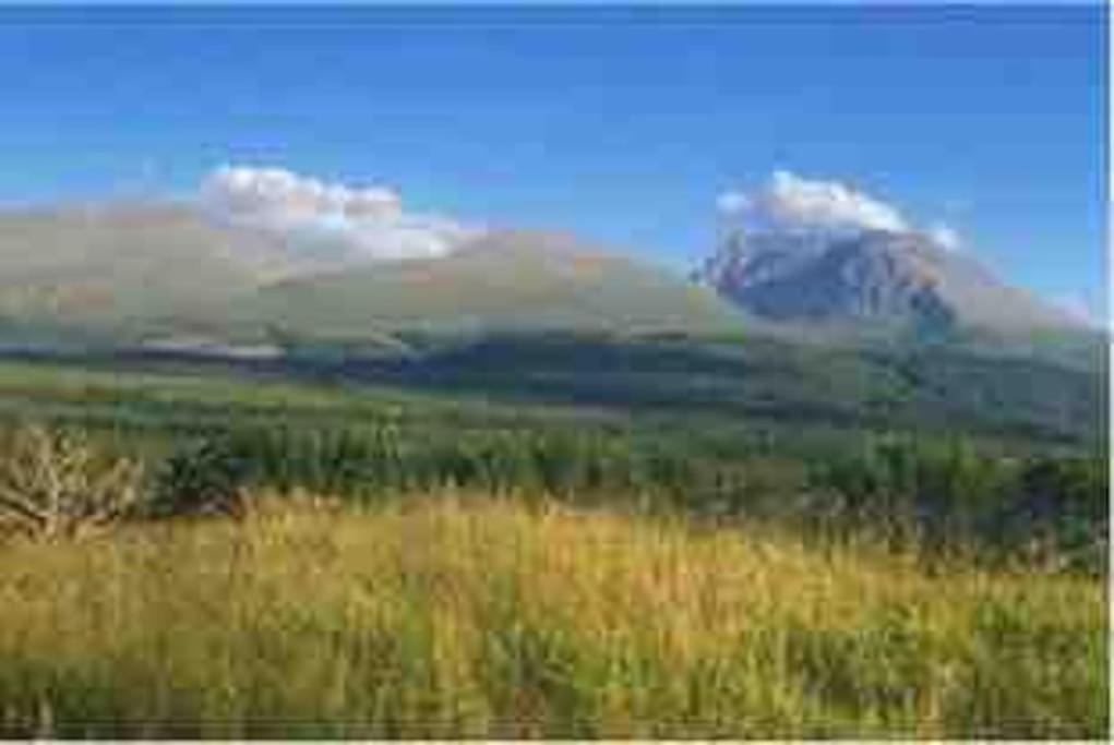 Wild Nurture Eco Luxury Offgrid Log Cabin Fort William Exteriér fotografie